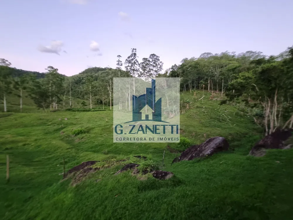 Fazenda, 4 hectares - Foto 12