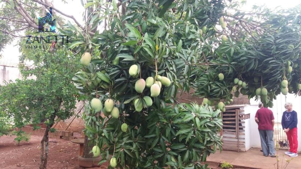 Terreno, 360 m² - Foto 4