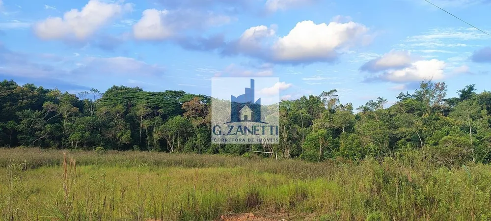 Terreno, 5 hectares - Foto 6