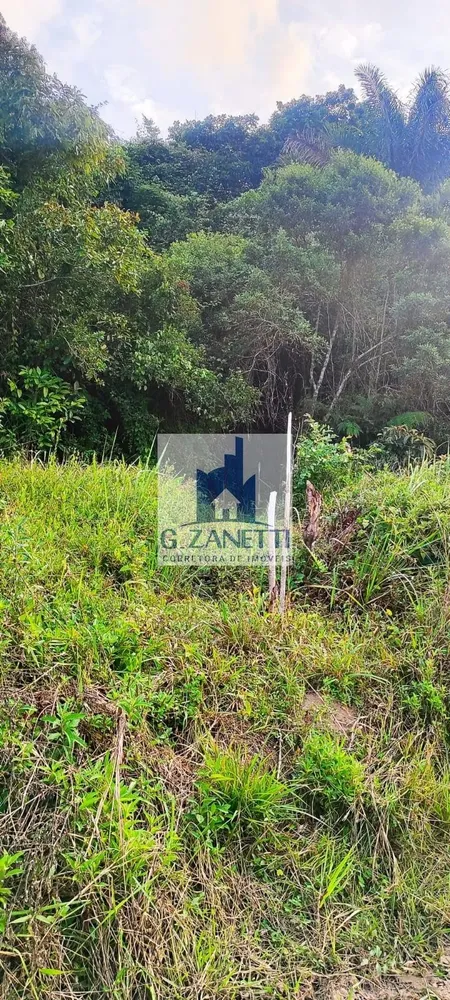 Terreno, 5 hectares - Foto 1