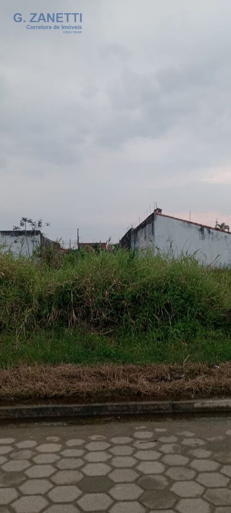 Terreno à venda, 2000m² - Foto 3