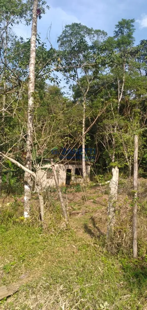 Sítio, 2 quartos, 10000 m² - Foto 11