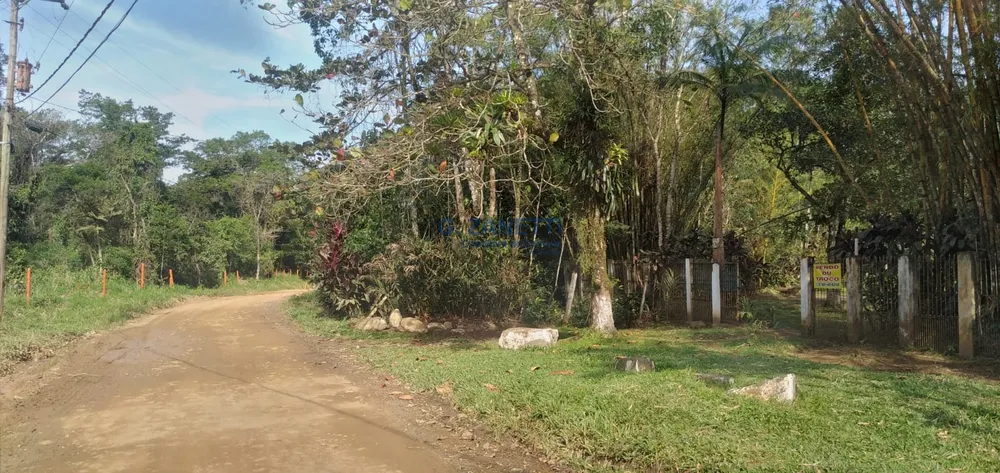 Sítio, 2 quartos, 10000 m² - Foto 10
