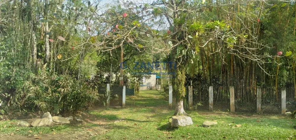 Sítio, 2 quartos, 10000 m² - Foto 5