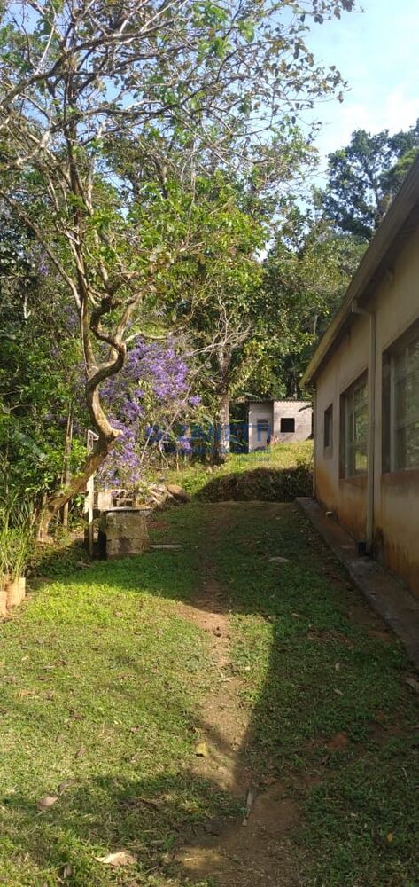 Sítio, 2 quartos, 10000 m² - Foto 1