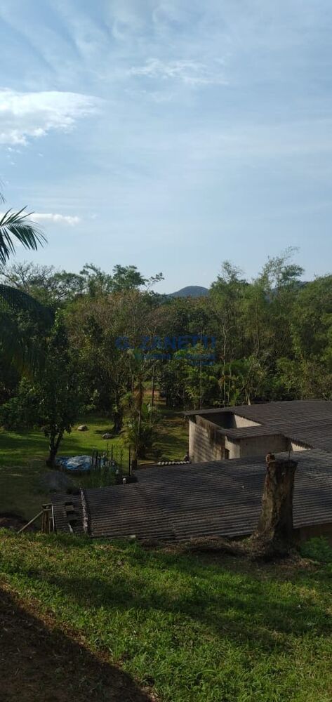 Sítio, 2 quartos, 10000 m² - Foto 3