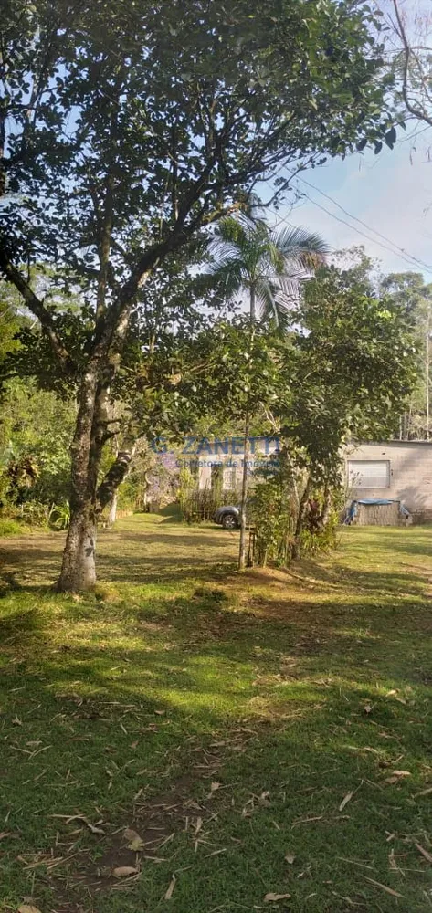 Sítio, 2 quartos, 10000 m² - Foto 10