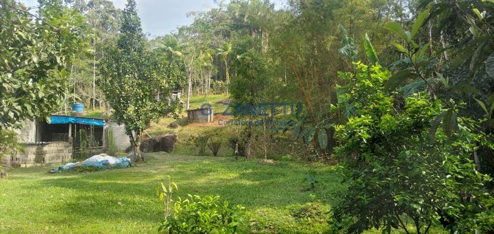 Sítio, 2 quartos, 10000 m² - Foto 4