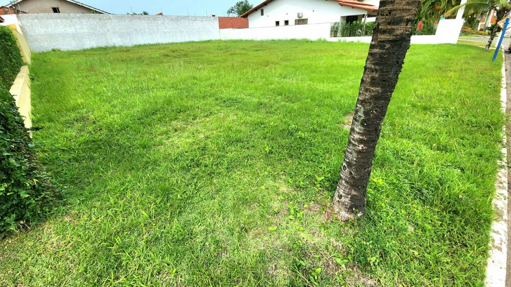 Terreno, 369 m² - Foto 3