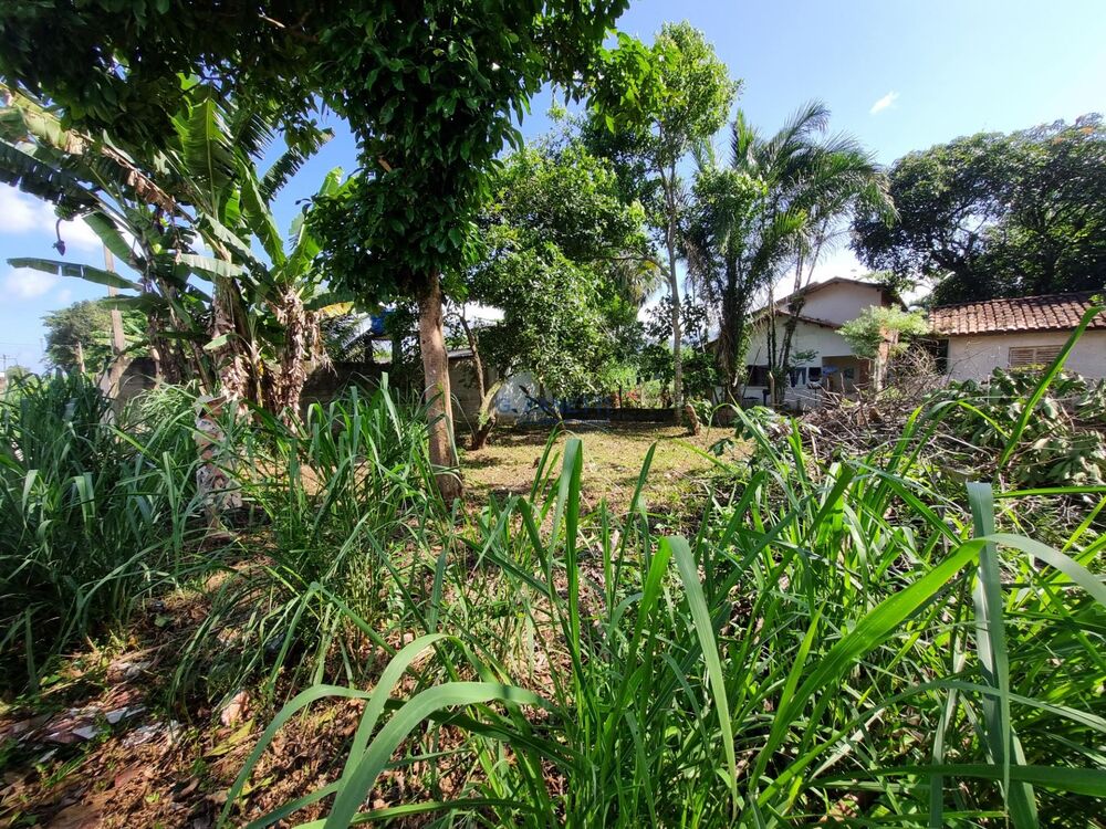 Terreno, 228 m² - Foto 3
