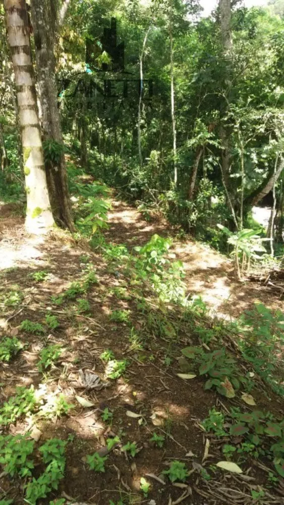 Sítio, 1 quarto, 10 hectares - Foto 3