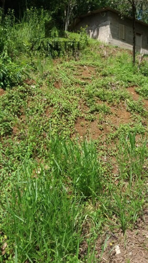 Sítio, 1 quarto, 10 hectares - Foto 2