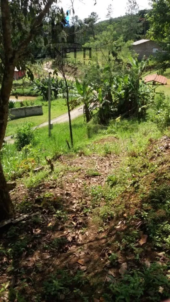 Sítio, 1 quarto, 10 hectares - Foto 6