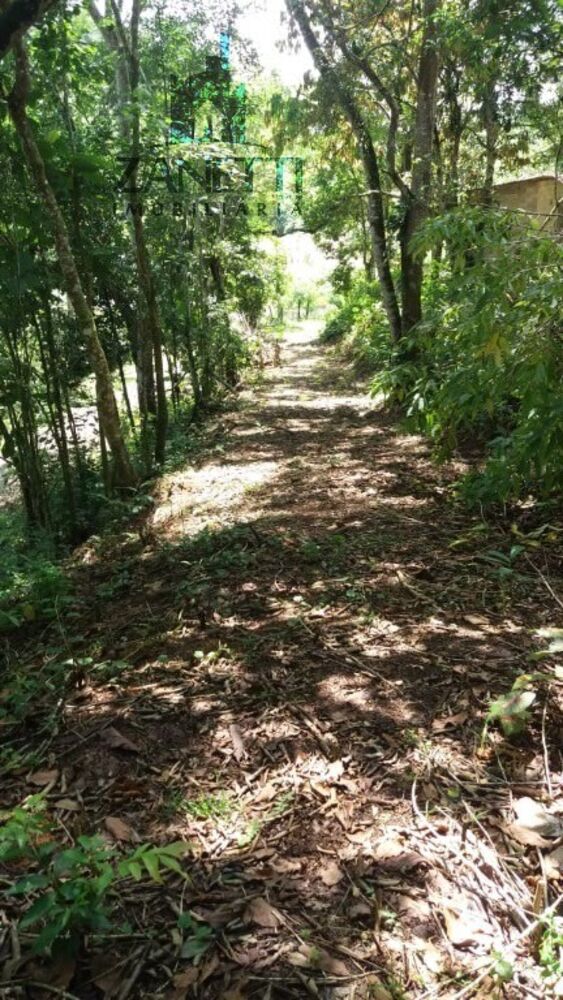 Sítio, 1 quarto, 10 hectares - Foto 5