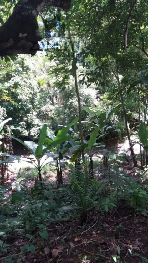 Sítio, 1 quarto, 10 hectares - Foto 8