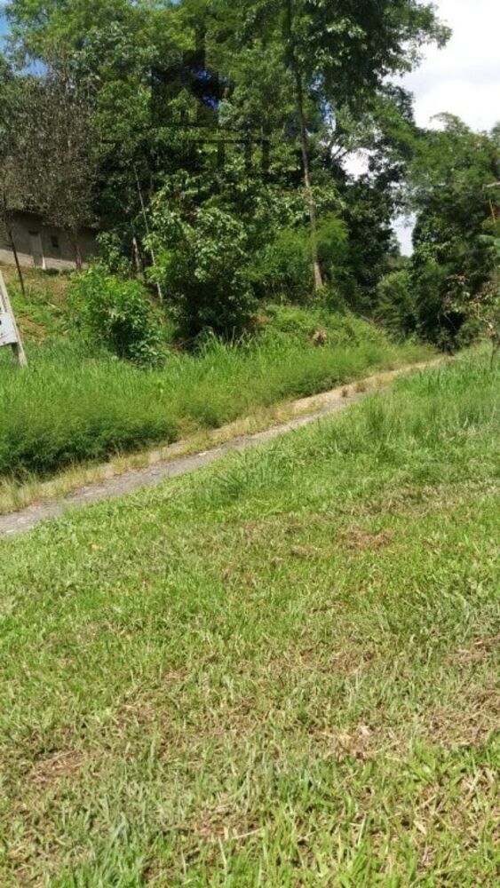 Sítio, 1 quarto, 10 hectares - Foto 4