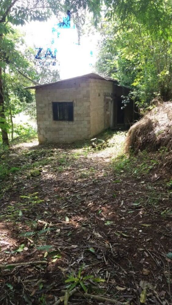 Sítio, 1 quarto, 10 hectares - Foto 1