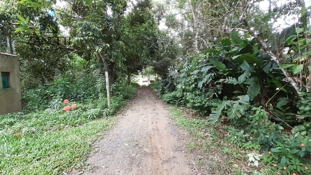 Casa, 3 quartos, 270 m² - Foto 12