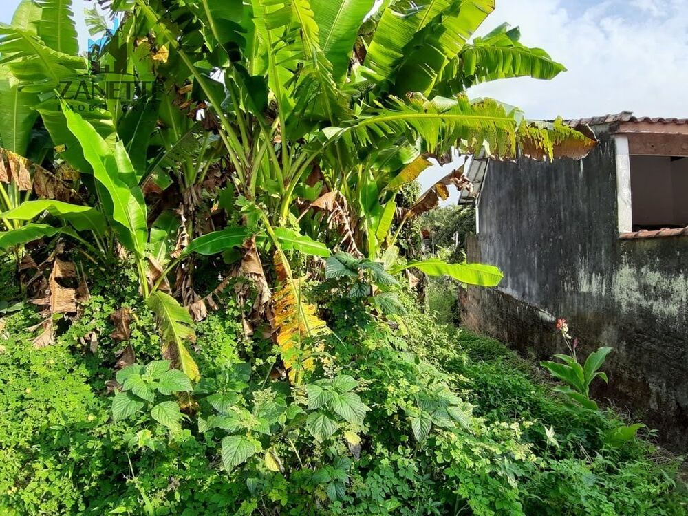 Terreno, 530 m² - Foto 3