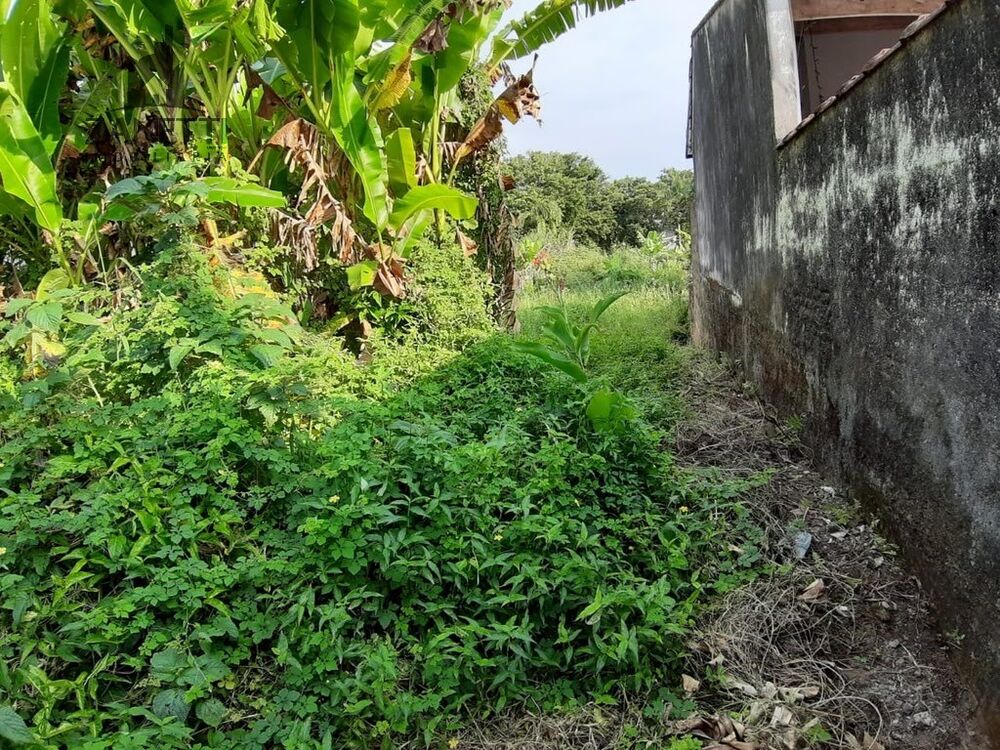 Terreno, 530 m² - Foto 2