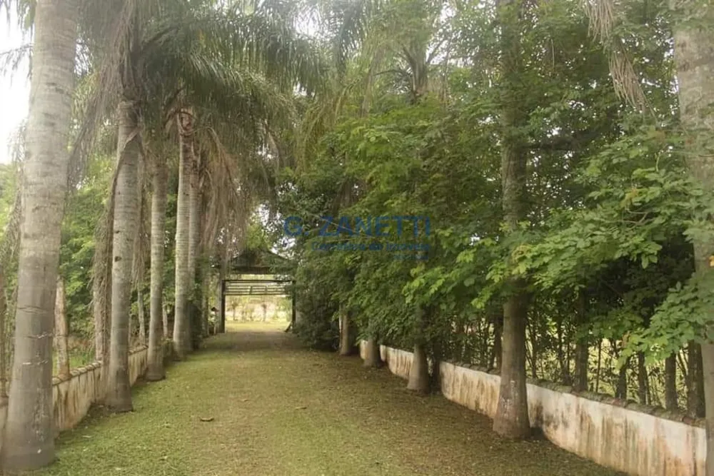 Chácara, 3 quartos, 2 hectares - Foto 9