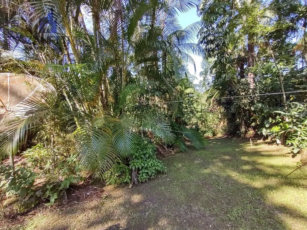 Chácara, 4 quartos, 6 hectares - Foto 15