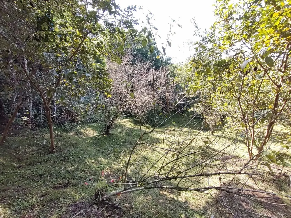 Chácara, 4 quartos, 6 hectares - Foto 10