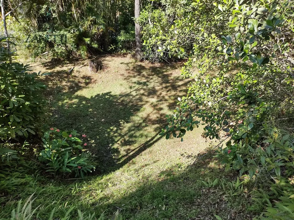 Chácara, 4 quartos, 6 hectares - Foto 12