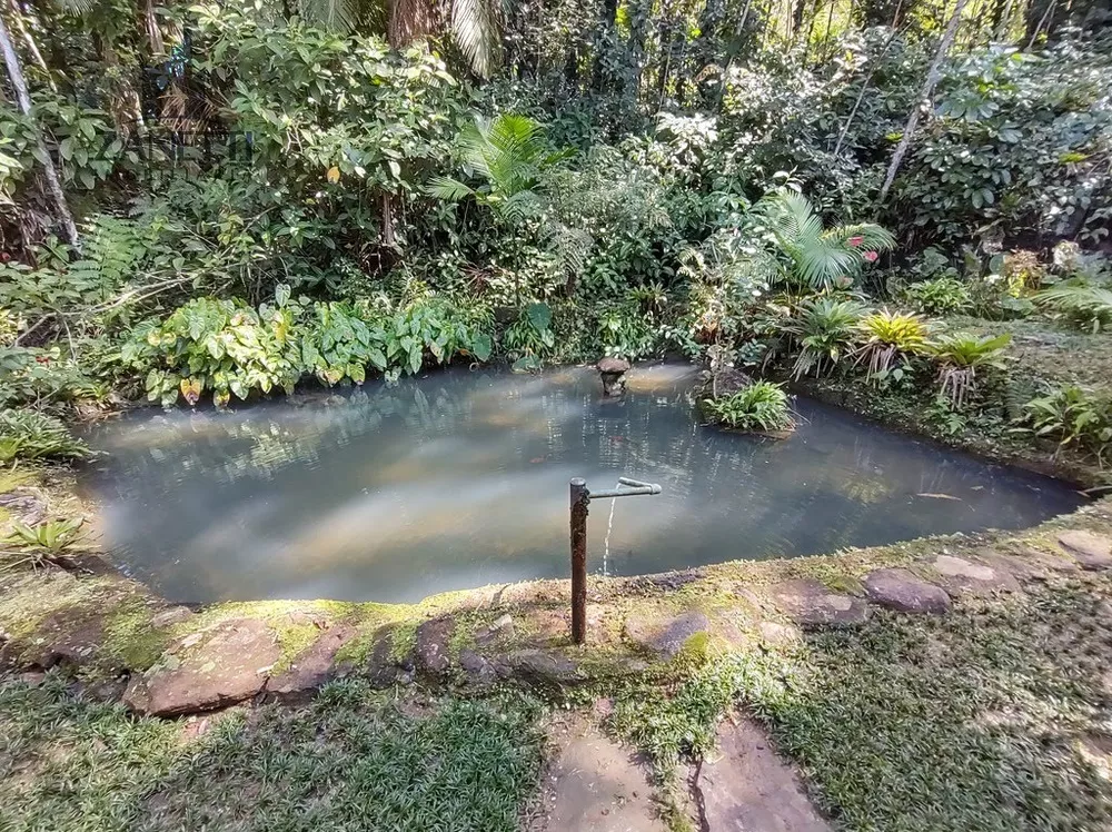 Chácara, 4 quartos, 6 hectares - Foto 8