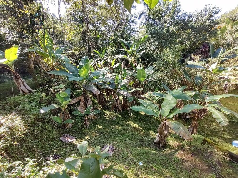 Chácara à venda com 4 quartos, 200m² - Foto 4