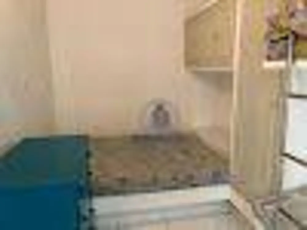 Apartamento, 1 quarto, 40 m² - Foto 4
