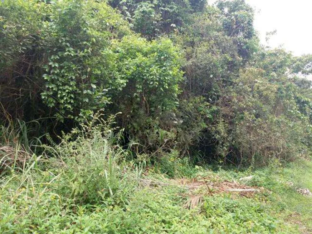 Loteamento e Condomínio, 280 m² - Foto 1