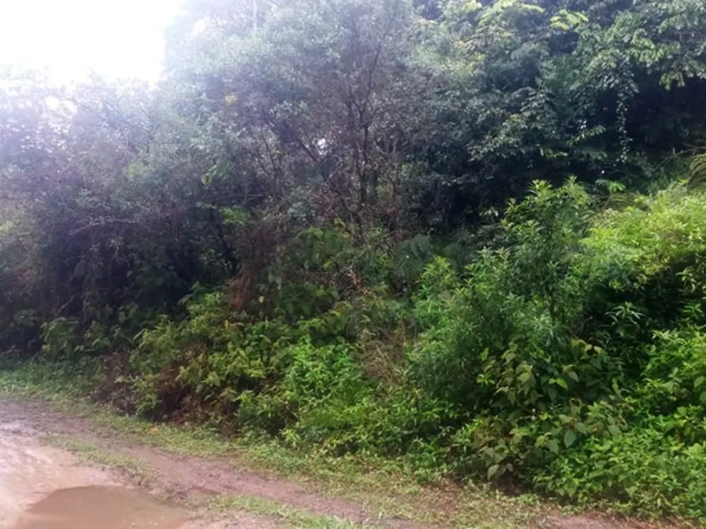 Loteamento e Condomínio, 280 m² - Foto 4