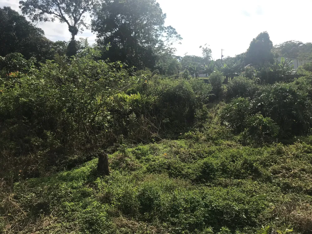 Loteamento e Condomínio, 280 m² - Foto 3