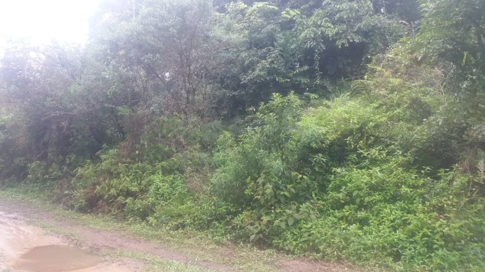 Terreno, 500 m² - Foto 1