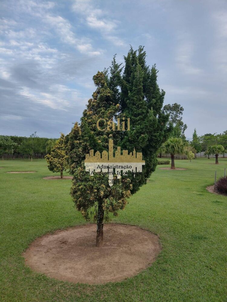 Chácara, 7 quartos, 4 hectares - Foto 3