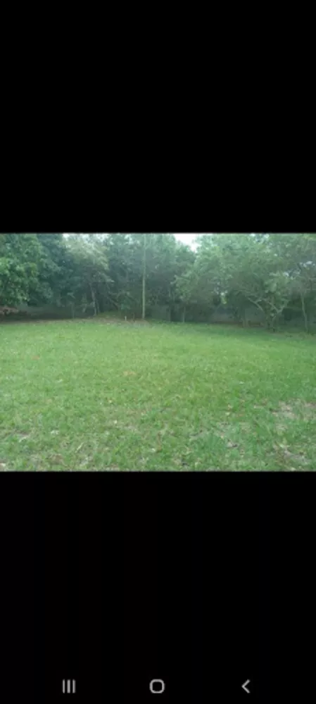 Sítio, 2 quartos, 5000 m² - Foto 5