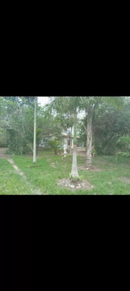 Sítio, 2 quartos, 5000 m² - Foto 3