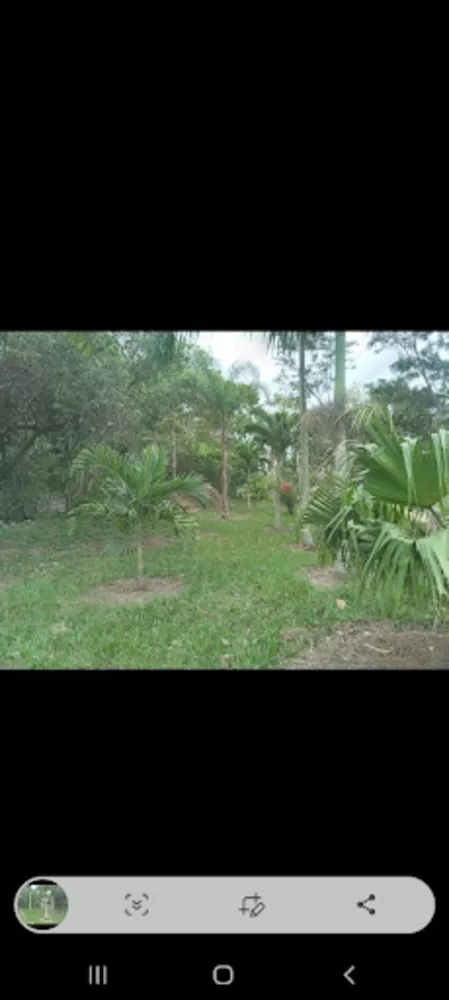 Sítio, 2 quartos, 5000 m² - Foto 2