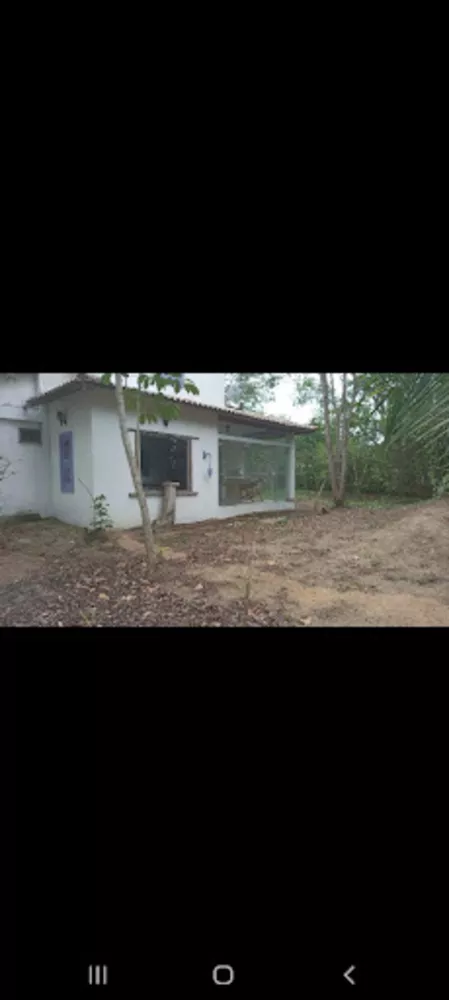 Sítio, 2 quartos, 5000 m² - Foto 1