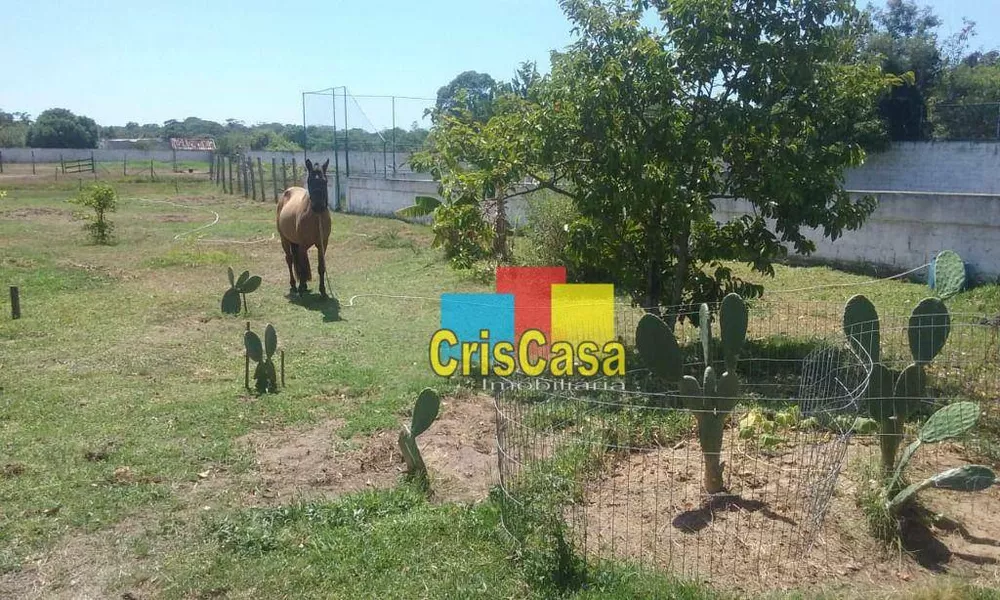 Chácara, 6 quartos, 10000 m² - Foto 15