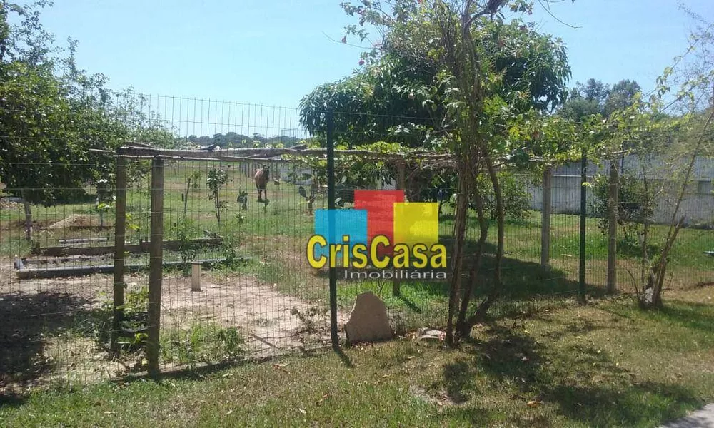 Chácara, 6 quartos, 10000 m² - Foto 3