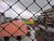 Apartamento, 2 quartos, 80 m² - Foto 18