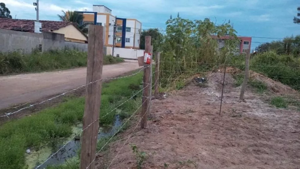 Terreno, 250 m² - Foto 3