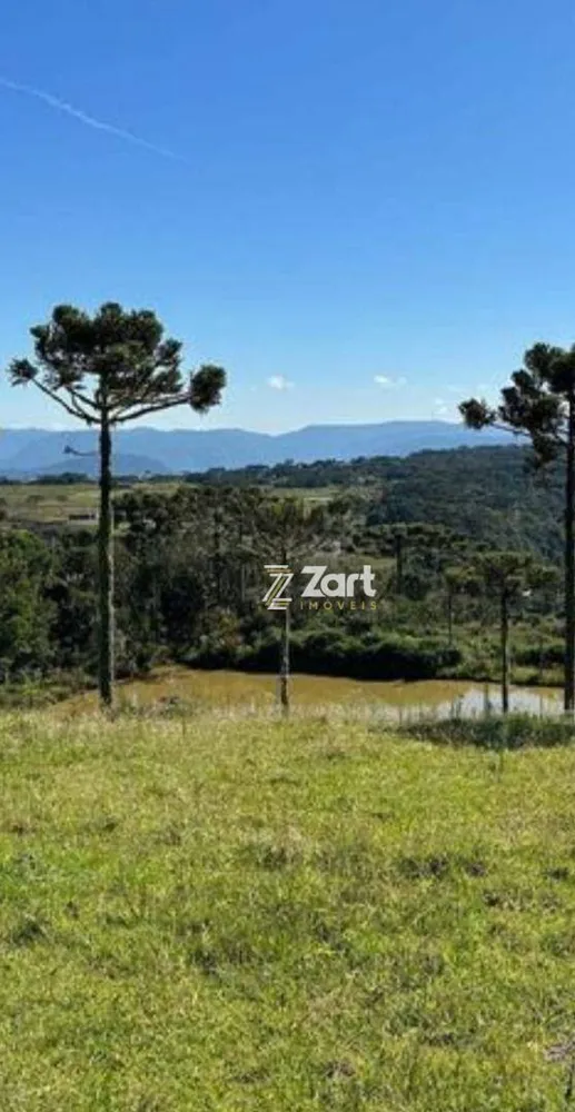 Terreno, 2 hectares - Foto 3