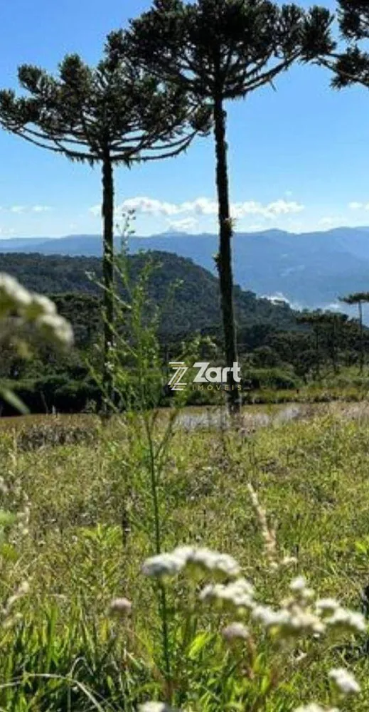 Terreno, 2 hectares - Foto 2