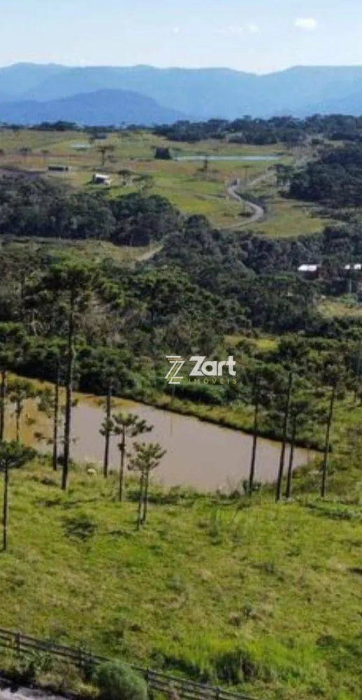 Terreno, 2 hectares - Foto 4