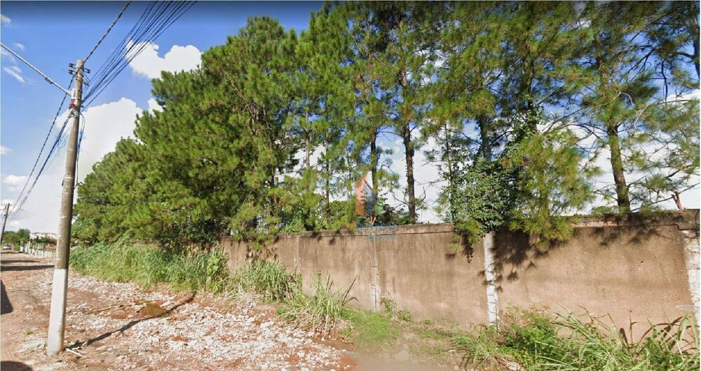 Terreno, 5 hectares - Foto 3