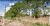 Terreno, 5 hectares - Foto 3