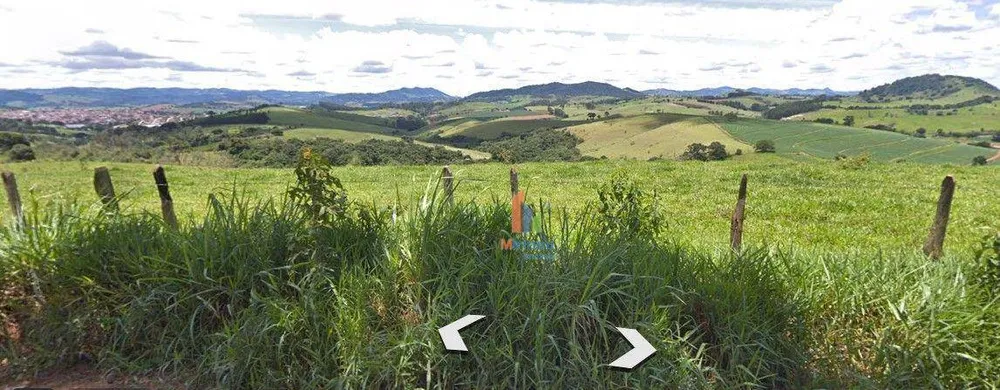 Sítio, 22 hectares - Foto 4